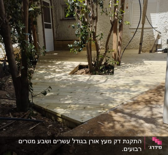 דק עץ בגינה עם עצים מסביב